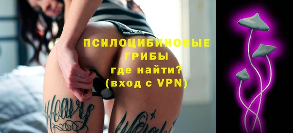 ECSTASY Снежногорск