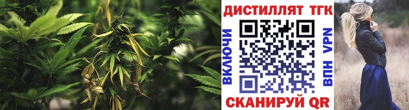 мориарти какой сайт  где можно купить   Алатырь  Дистиллят ТГК гашишное масло 