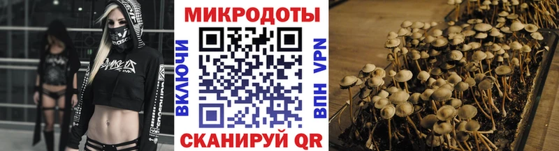 blacksprut tor  наркошоп  Алатырь  Галлюциногенные грибы GOLDEN TEACHER 
