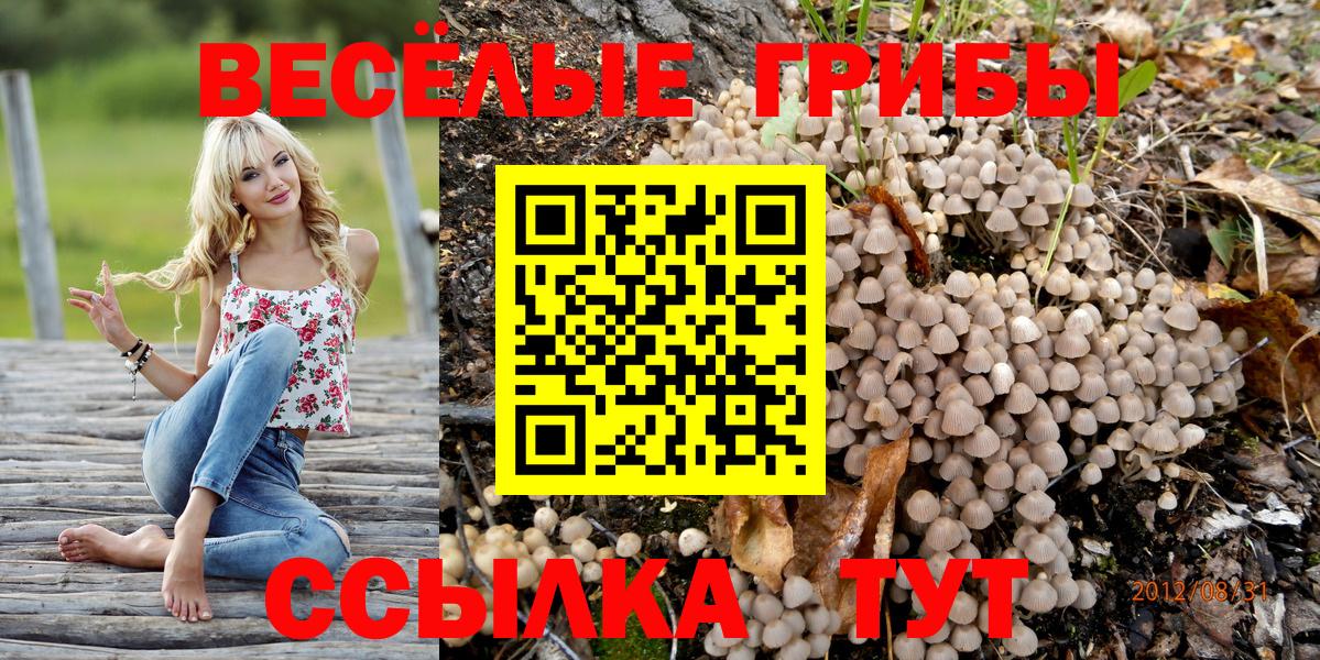 Алатырь  Псилоцибиновые грибы мухоморы  Вход с VPN 