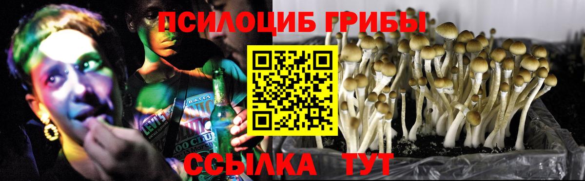 Галлюциногенные грибы мухоморы Алатырь
